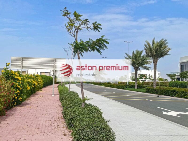 AP-S-29208-Land Residential-Sale-Saih Shuaib 1-Jebel Ali-Dubai